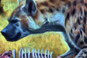 Giant hyena