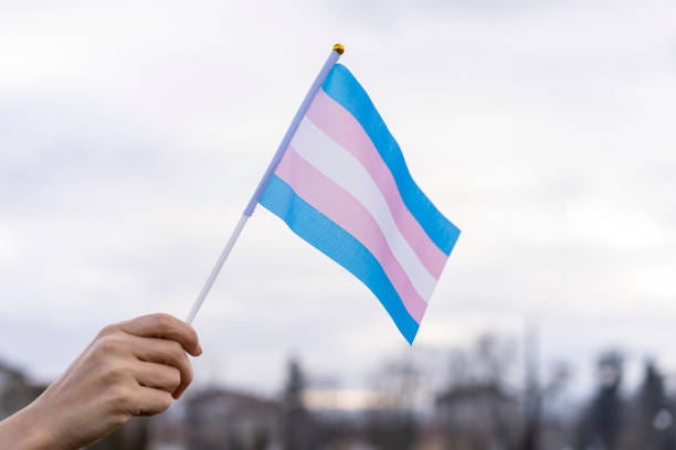 3,700+ Transgender Pride Flag Stock Photos, Pictures ...