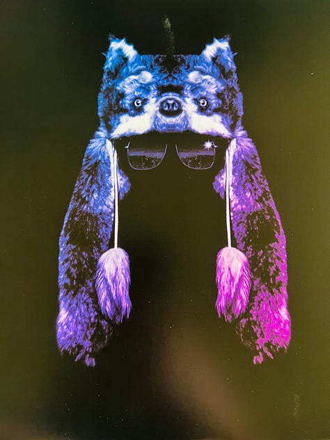 REVIEW: Gruff Rhys—American Interior (Deluxe, 2025)