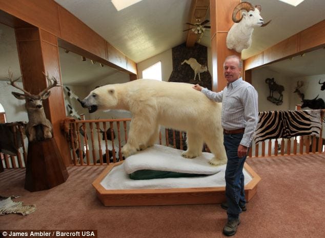 Trophy room: Rod Brandenburg poses with the polar bear he killed in the Arctic in 2006