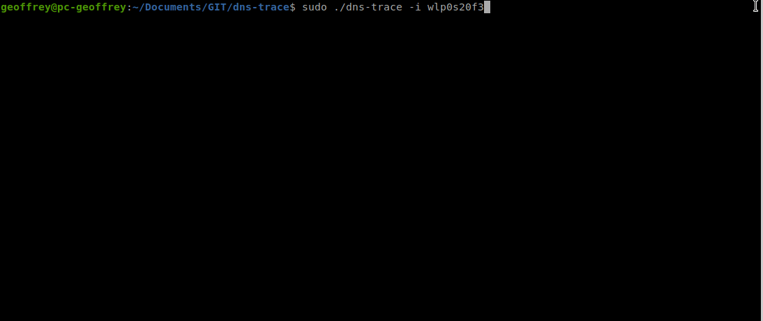 DNS-Trace.gif
