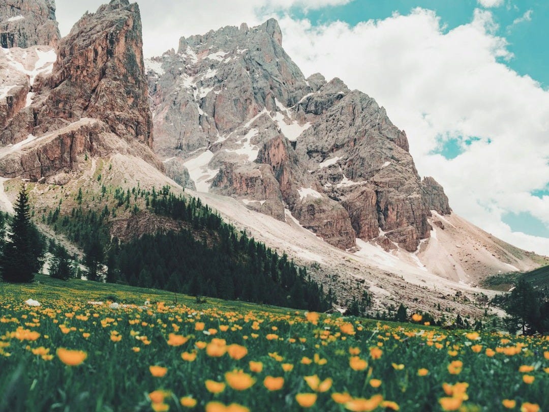 Les 7 Bonnes Nouvelles du Vendredi 9 Janvier 2026