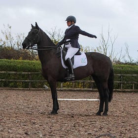 Dressage day draws diva spirit to Knockagh View
