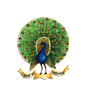 Mayoor School Siliguri's avatar