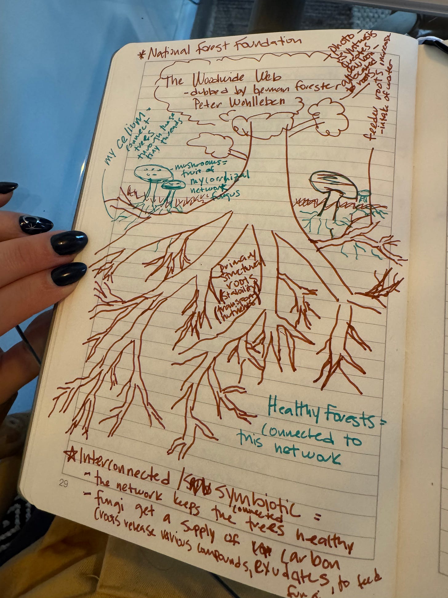 Scene: Handwritten journal entry in a lined notebook that includes a drawing of a tree root system described as a woodwide web. There are a few mushroom, the root structures are noted and it is noted that healthy forests are connected to this network. Scene: Handwritten journal entry in a lined notebook that includes a drawing of a tree root system described as a woodwide web. There are a few mushroom, the root structures are noted and it is noted that healthy forests are connected to this network.