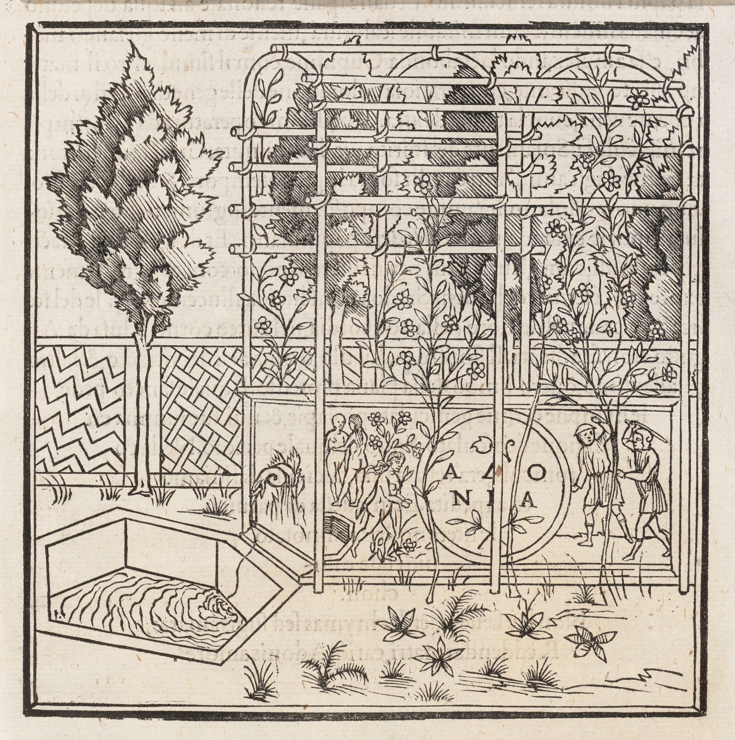 Francesco Colonna | Hypnerotomachia Poliphili | The Metropolitan Museum of  Art