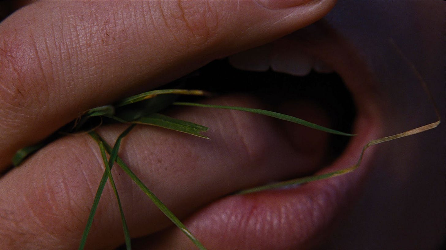 Everything We Know So Far About Emerald Fennell's 'Wuthering Heights' |  Vogue