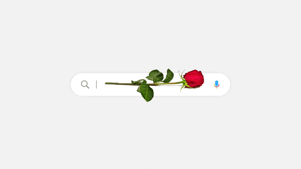 Illustration of Google's Search bar with a rose Illustration of Google's Search bar with a rose