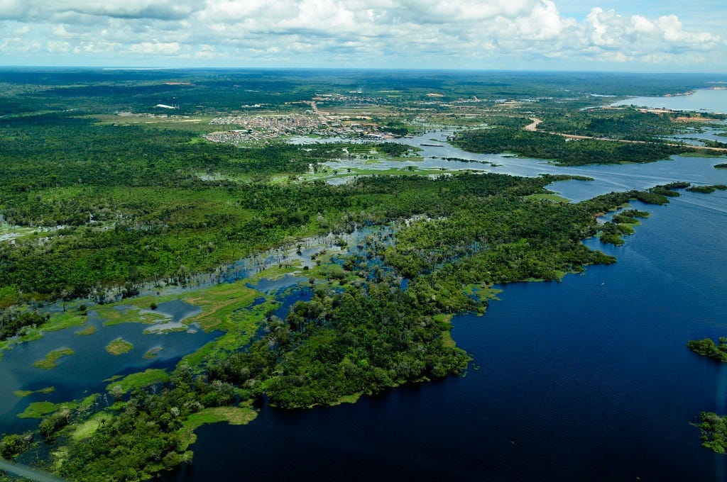 Aerial view of the Amazon Rainforest, near Manaus the capital of the Brazilian state of Amazonas. Brazil. In the foreground is a deep blue river with lush green islands. The rainforest stretches into the distance, interrupted by a town and roads. Aerial view of the Amazon Rainforest, near Manaus the capital of the Brazilian state of Amazonas. Brazil. In the foreground is a deep blue river with lush green islands. The rainforest stretches into the distance, interrupted by a town and roads.