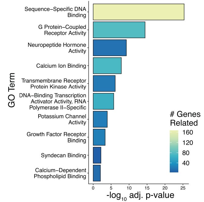 The top three things splitting transcriptomic clusters in Langlieb et al. (2023) are transcription factors, GPCRs, and neuropeptide ligands. The top three things splitting transcriptomic clusters in Langlieb et al. (2023) are transcription factors, GPCRs, and neuropeptide ligands.