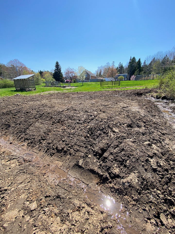 Progress on neighbor's brush pile, digging ditch, and the final product.