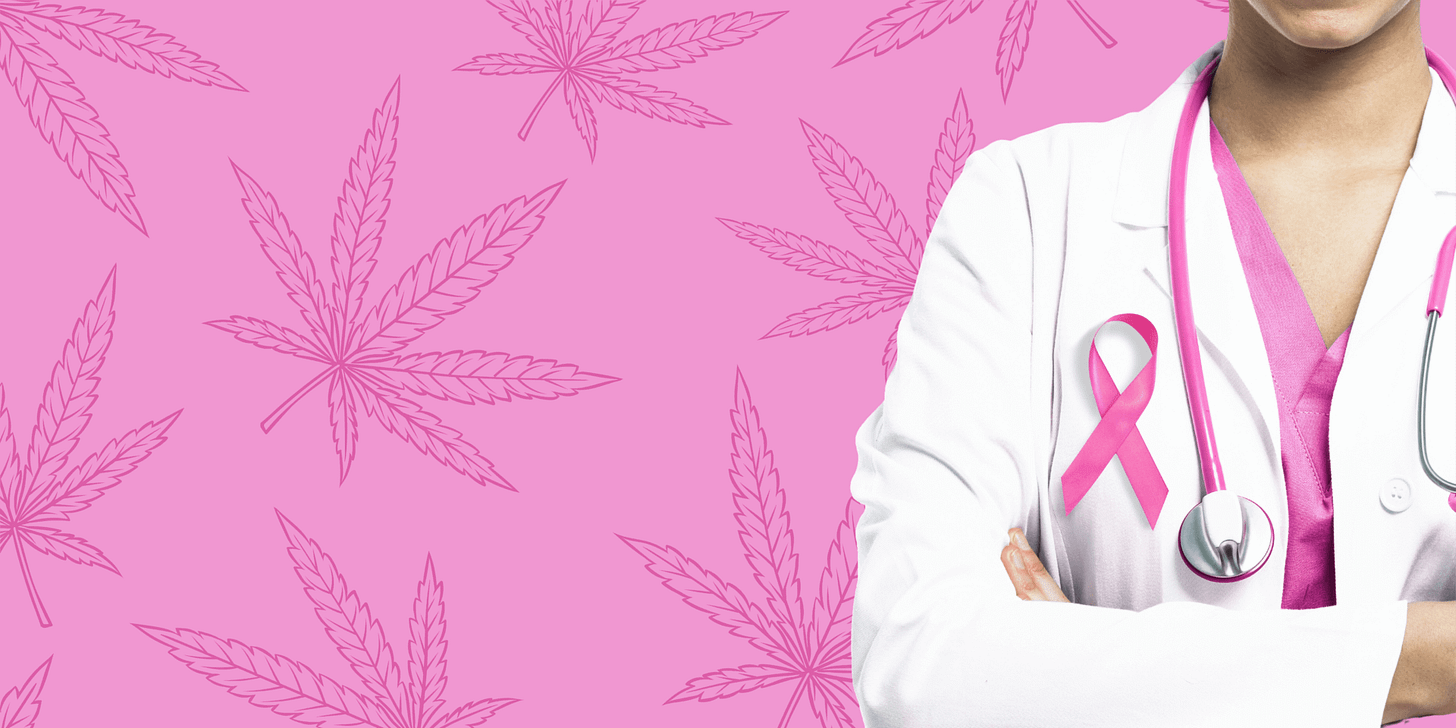 Can Cannabis Ease Breast Cancer Symptoms? What Science Says | DocMJ Can Cannabis Ease Breast Cancer Symptoms? What Science Says | DocMJ