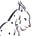 waykiwayki's avatar