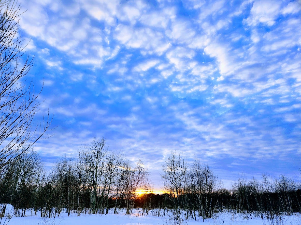 Picture of a winter sunset.