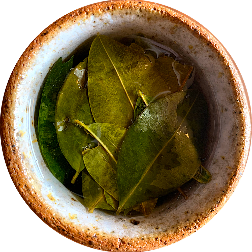 La Yapa | Piscotrail