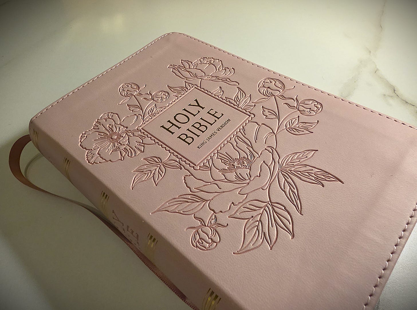Pink Bible Pink Bible