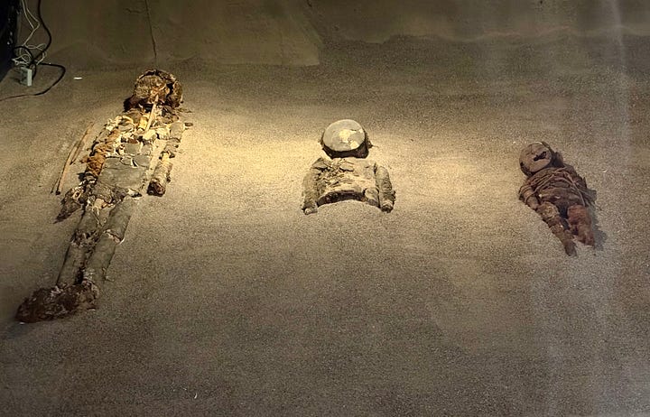 Foto de la izquierda, momia de un infante de la cultura chinchorro. En la foto de la derecha, restos de tres momias. La del medio es sólo parcial y corresponde al periodo negro. Foto propia.