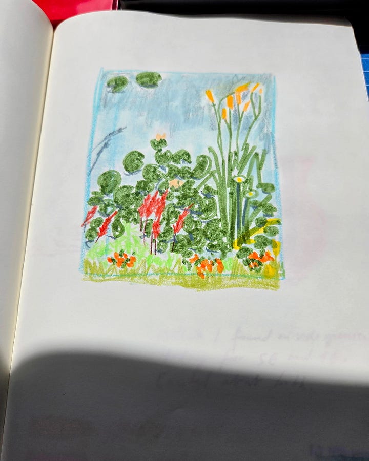 Sketchbook drawings of Giverny