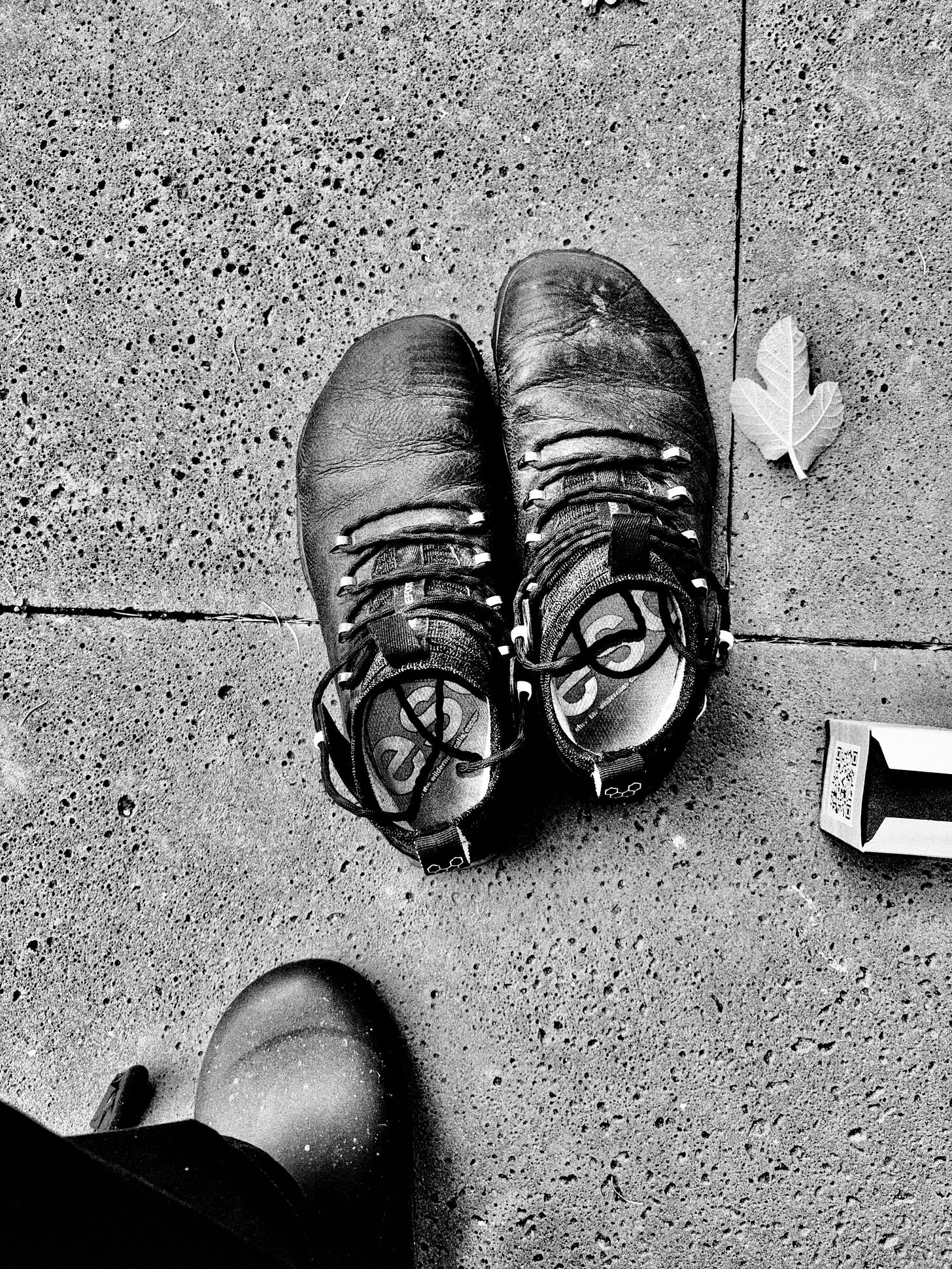 Sascha Büttner Leia Fotografie