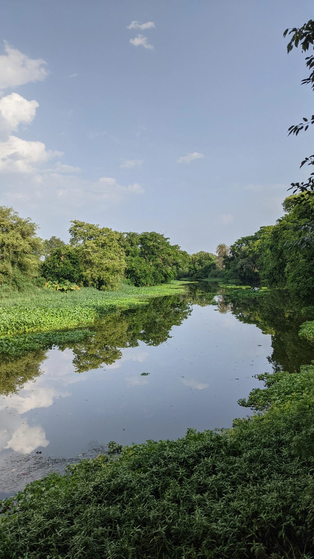 Parool’s Newsletter