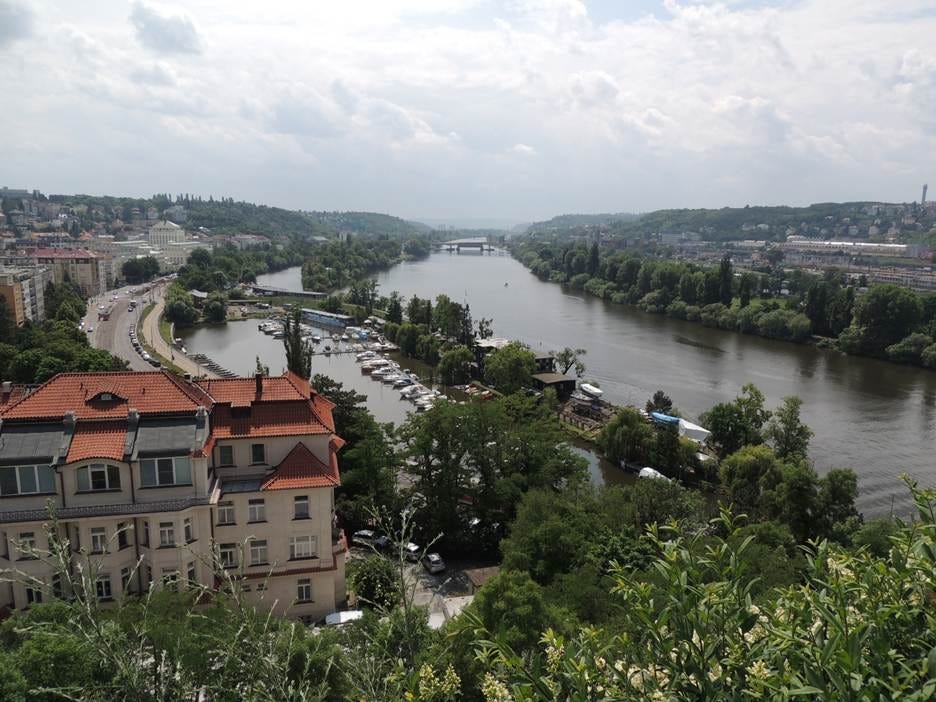 A river with a city and trees

AI-generated content may be incorrect.
