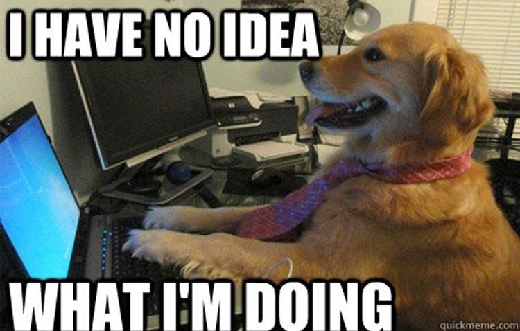 Meme of golden retriever wearing a red necktie, with its paws up on a computer keyboard and the caption "I have no idea what I'm doing'