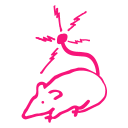 radio noia logo
