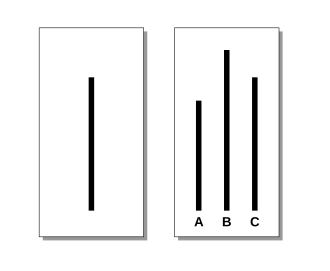 Asch conformity experiments - Wikipedia