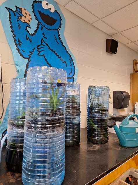 maine school garden network conference