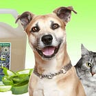 Organic Aloe Vera Juice, Good for Pets, Unwanted Pregnancies in Dogs, Cats and then some...