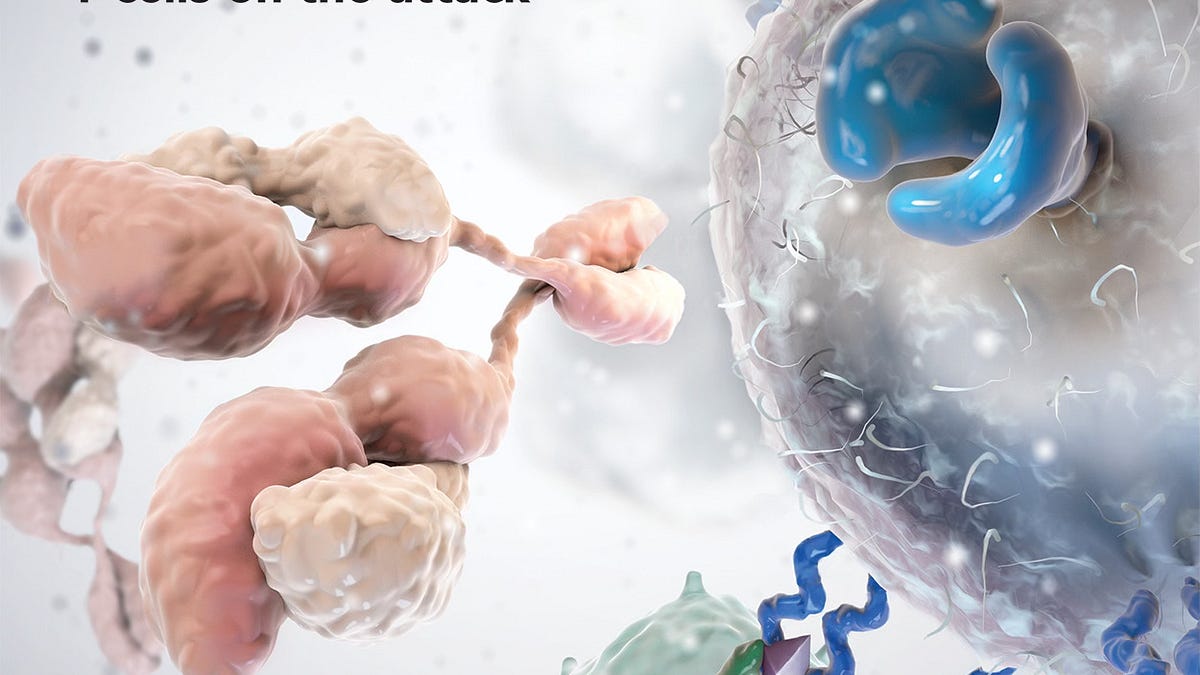 The Remarkable Proliferation of Cancer Immunotherapies - Ground Truths | Eric Topol