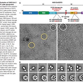 NovaVax preferred Adjuvants include Endotoxin Lipid A