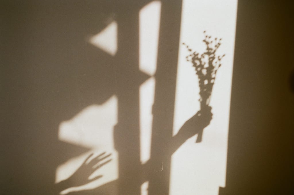 A photo of a shadow on a wall carrying flowers