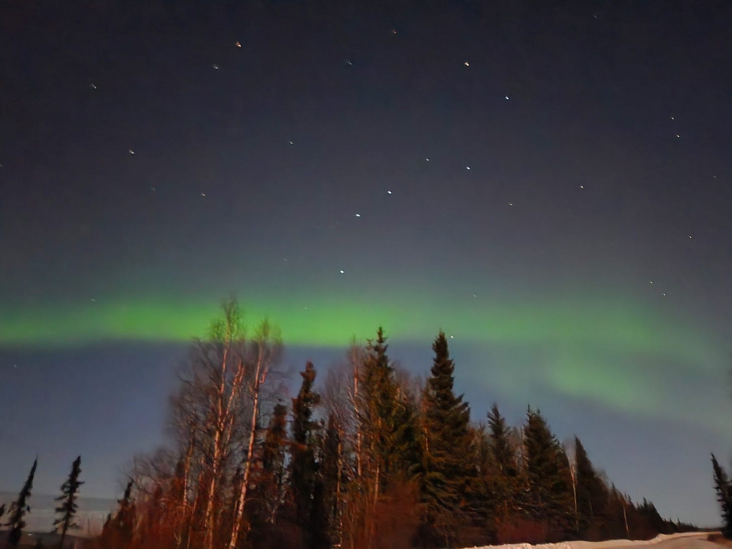 faint green aurora over a treeline