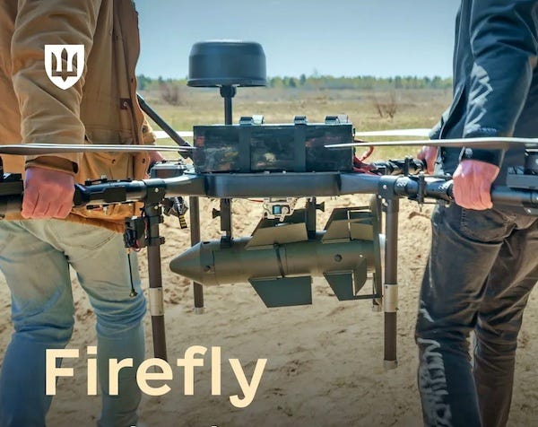 Firefly_01.jpg