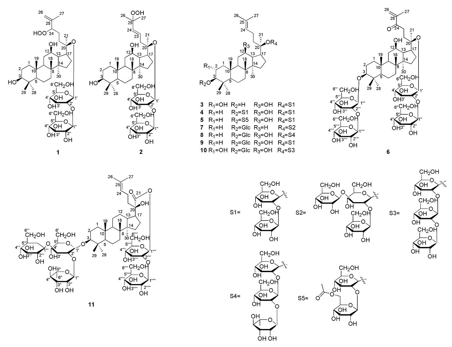 Molecules 25 03737 g001