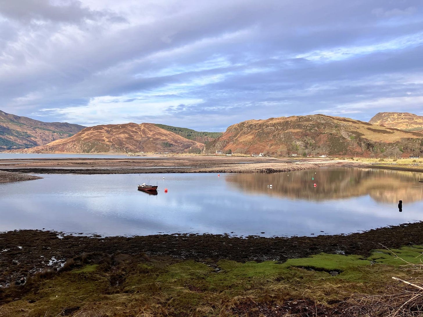 5e64c3e3-4e10-43bb-8a8f-16cf7c867a6e_1600x1200.jpg 5e64c3e3-4e10-43bb-8a8f-16cf7c867a6e_1600x1200.jpg