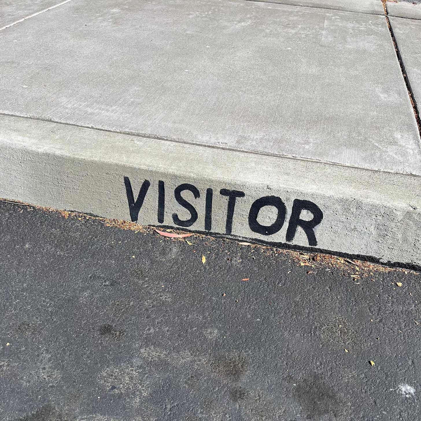 Curb in front of parking space with the word VISITOR painted on, but the OR is bold and handpainted and crooked