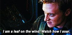 firefly GIF