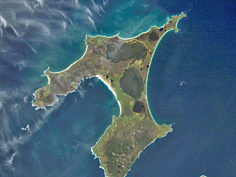 Comments - Diesel Dilemma: - by Deirdre Kent