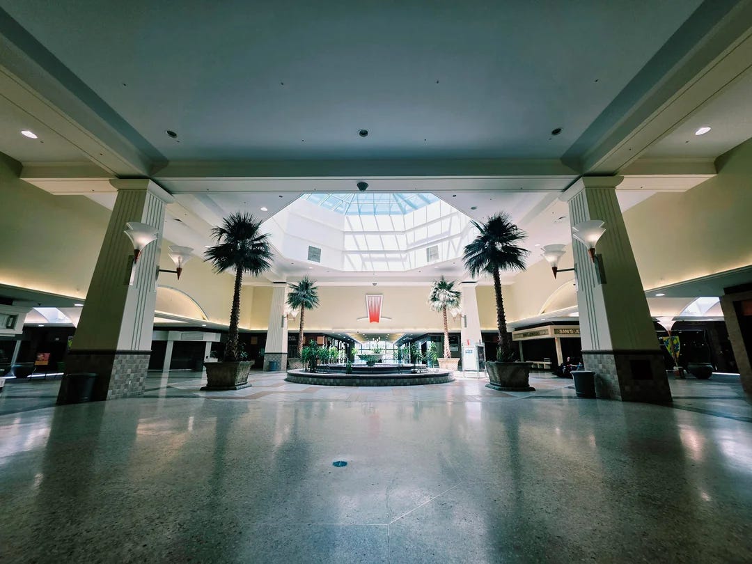 The lobby of Sunrise Mall, with a skylight and a palm tree.