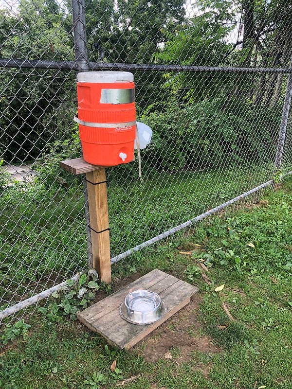 DIY dog water station.