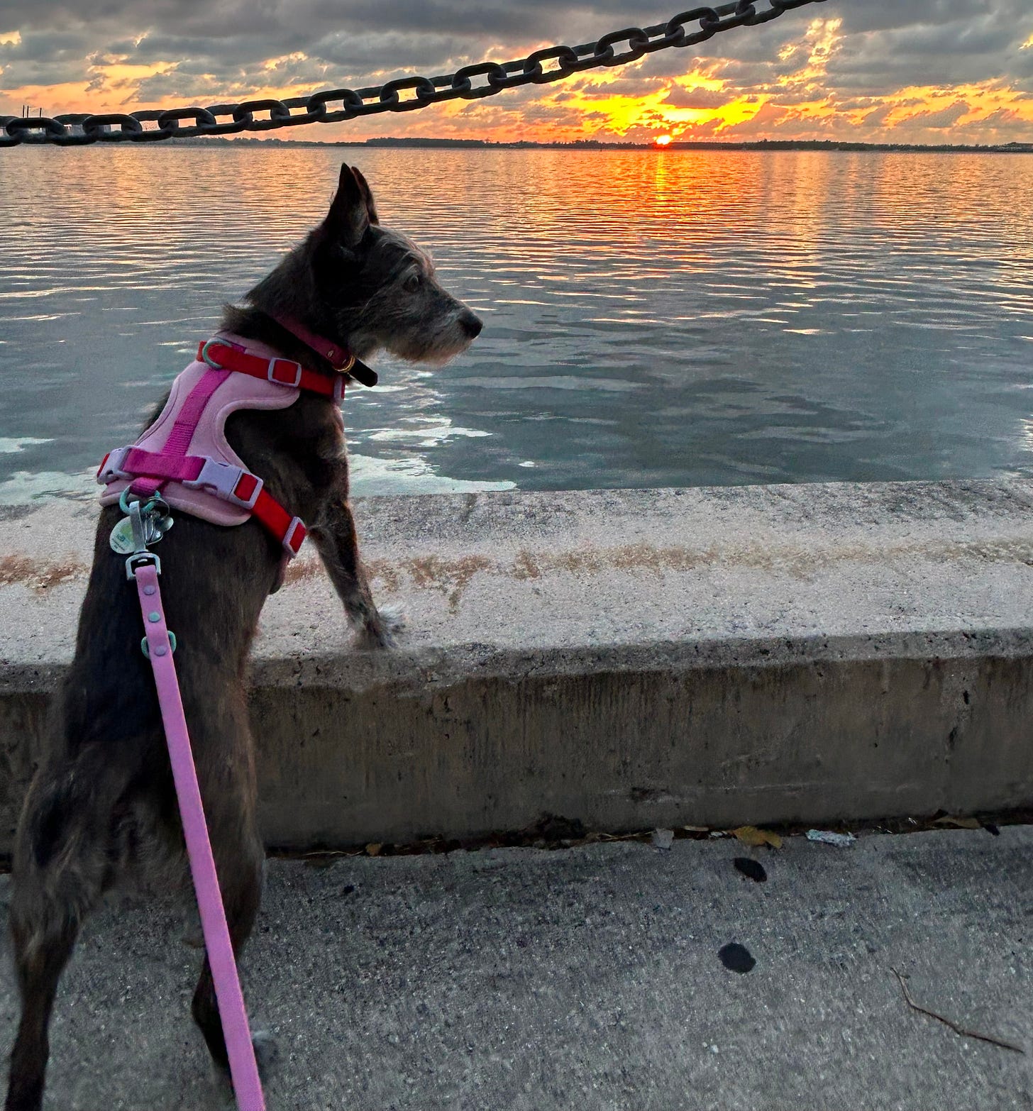 Carol, Leading the Way Carol, Leading the Way