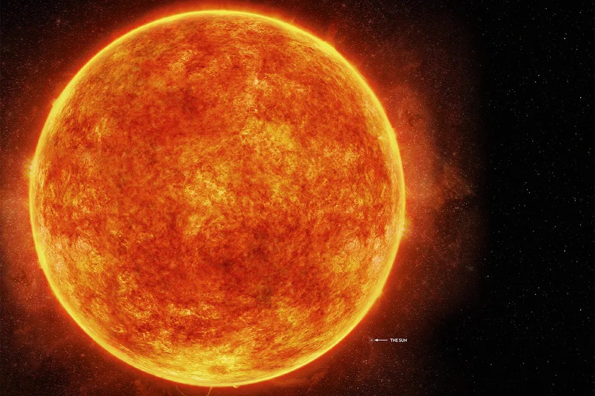 Artist's impression showing how big a hypergiant star is in comparison to our Sun. Credit: M. Weiss/CfA