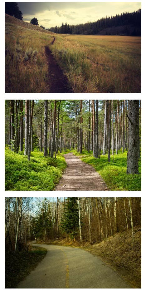 animal track, trail, road