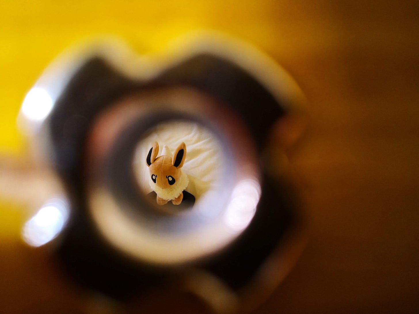 Eevee through climbing wall