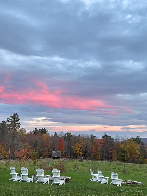 A collection of photos from a farm in Maine
