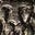 Specious Reasons's avatar