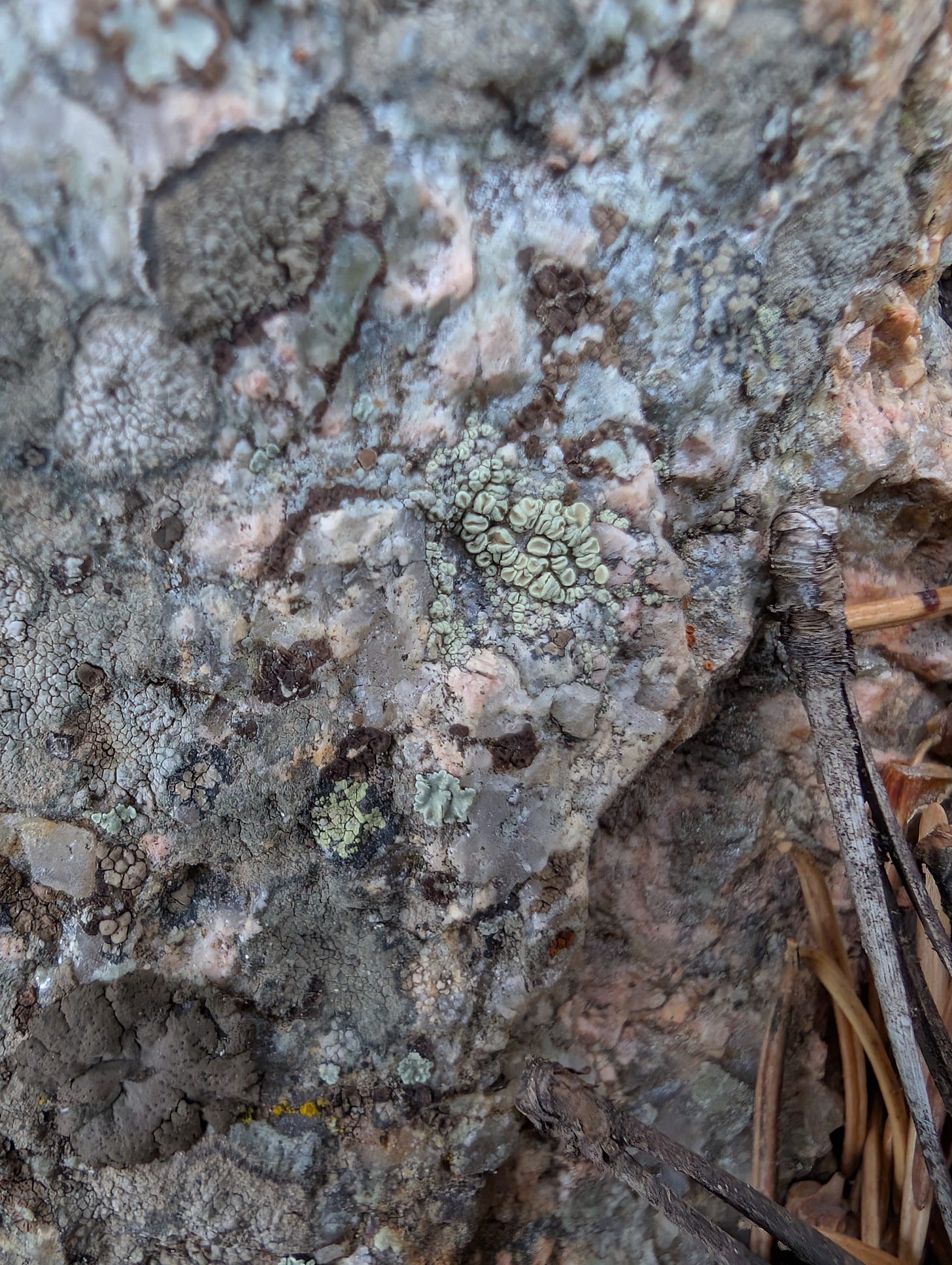 A different view of the same rock