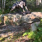 Movember 2025: Veterans and Suicide